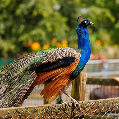 Newpark Hotel Kilkenny