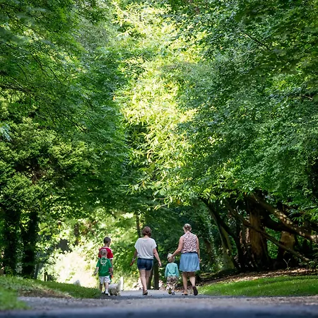 Newpark Szálloda Kilkenny