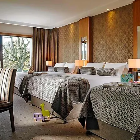 Newpark 4*