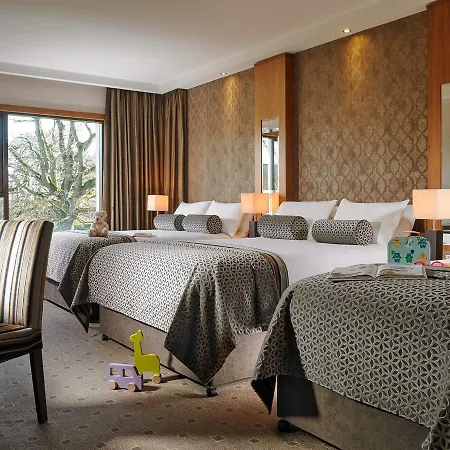 Newpark Hotel 4*
