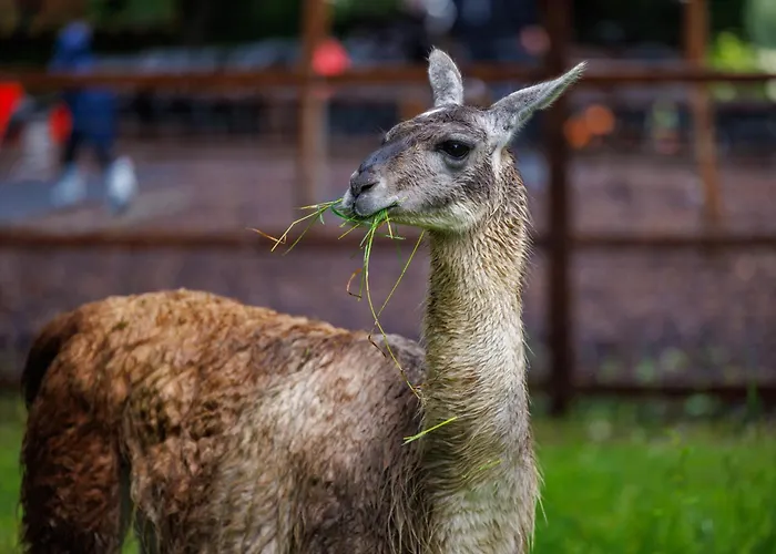 Newpark Отель 4*