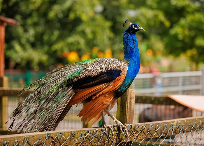 Newpark Отель Килкенни