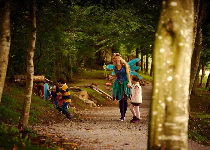 Отель Newpark 4*